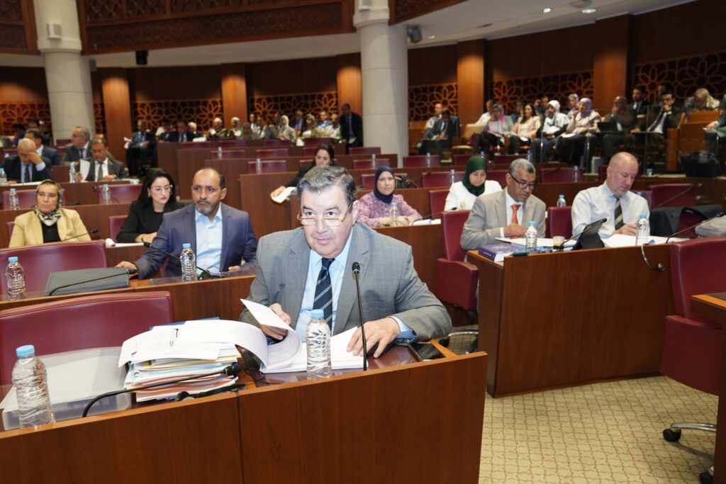 السنتيسي : الملك أكد أن المغرب يمضي قدما في مسيرة التنمية والتحديث