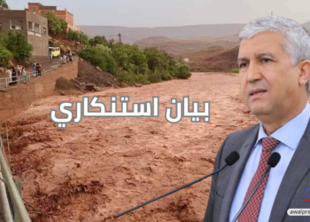 جمعية “تيرسال” تحذر من تداعيات فيضانات تنغير وتدعو وزير الفلاحة لإحصاء المتضررين